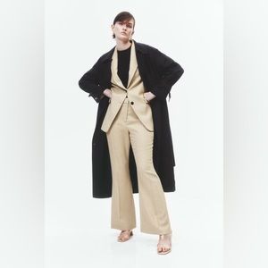 Flared Dress Pants in Beige